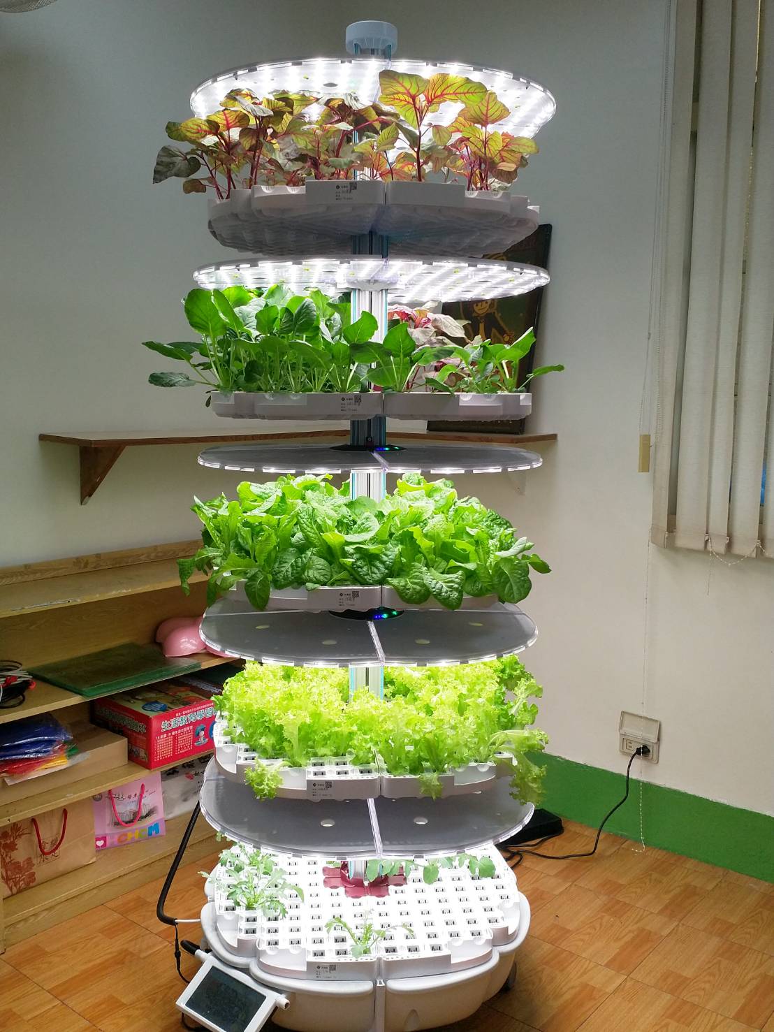 佛光山 台南慧慈幼兒園